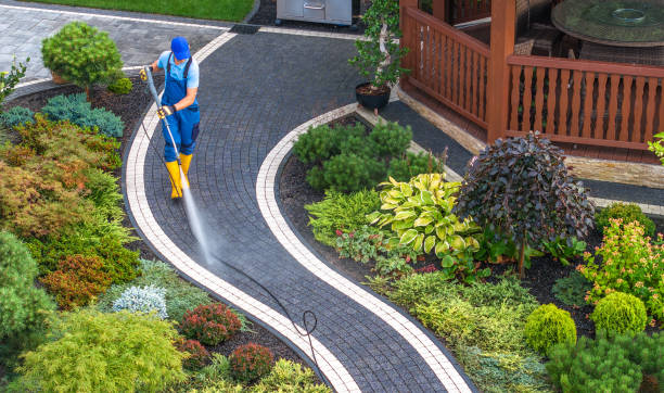 Best Roof Pressure Washing  in Sherwood, OH